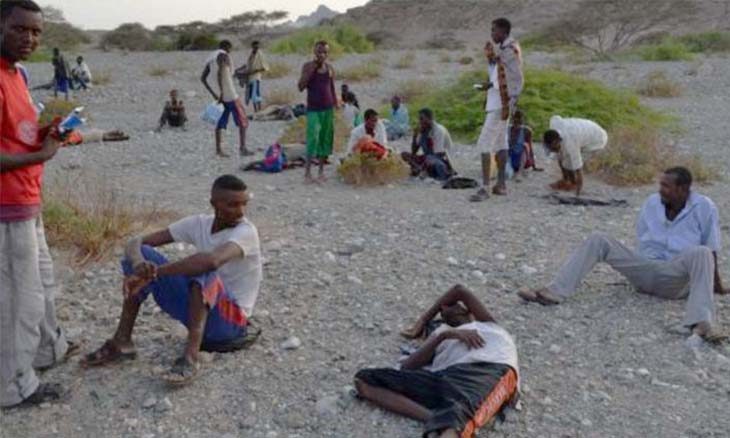 الأمم المتحدة: مهاجرون أفارقة يواجهون ظروفاً محفوفة بالمخاطر في اليمن