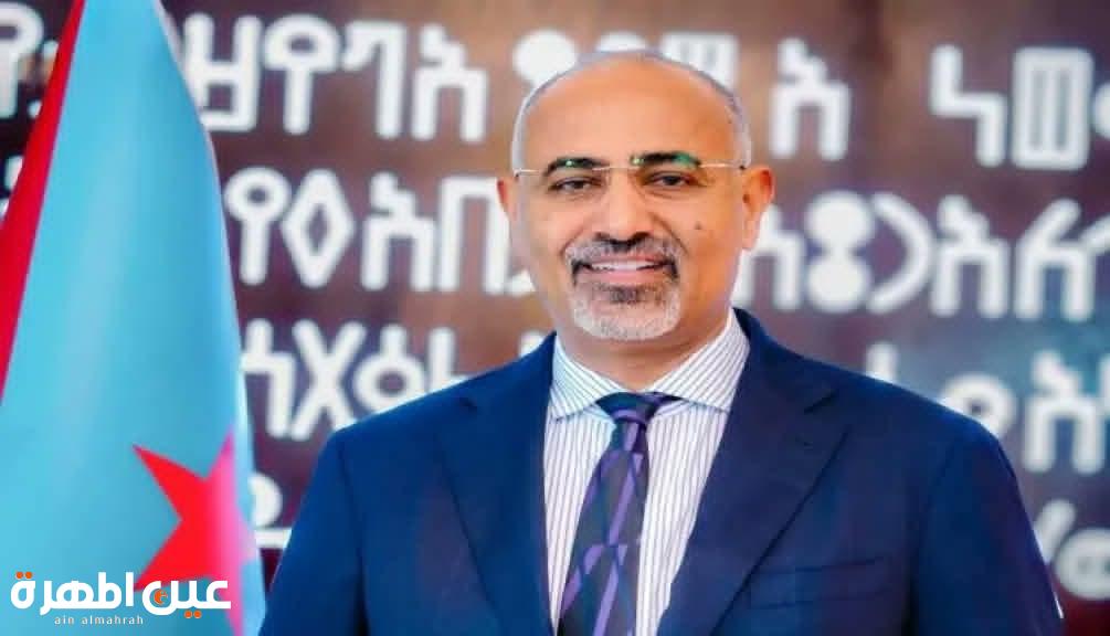 عواصم غربية تفتح قنوات إتصال مع الرئيس الزبيدي