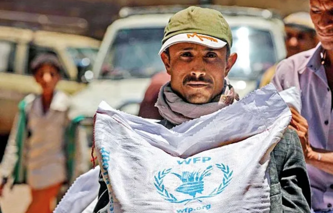 مفوضية اللاجئين تقلص مساعداتها في اليمن